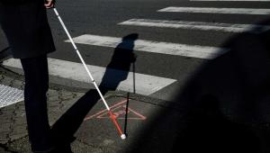 include-disabled-our-judicial-service.jpg
