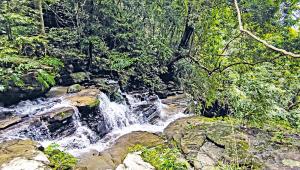 water-fall6.jpg