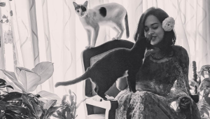 A girl with her pet cats.