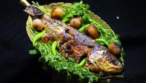 Fabulous fish recipes for your table