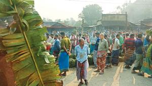 Betel leaf cultivation