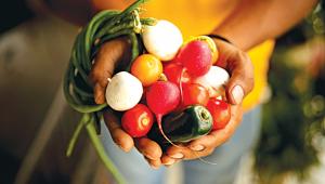 food distribution system