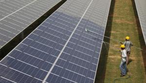 Solar panels in a field