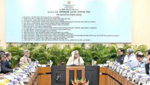 Avail more foreign fund for project financing: PM