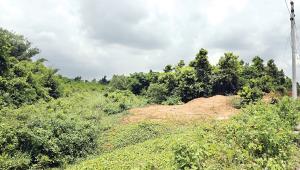 purbachal-residential-area.jpg