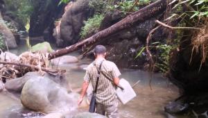 flood_sujan.jpg