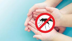 dengue.jpg