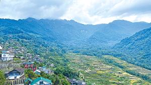 nagaland-1.jpg