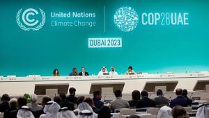 The truth is that neither the contents of the Dubai agreement, nor what was left out of it, will have much impact on climate change. FILE PHOTO: REUTERS