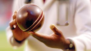 cricket.jpg