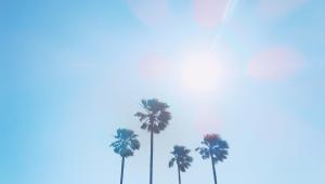 Searing summers: A journey through the hottest days on Earth        possessed-photography-mcf1o4ypzc4-unsplash