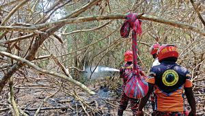 Sundarbans fire: Under control, not entirely doused yet