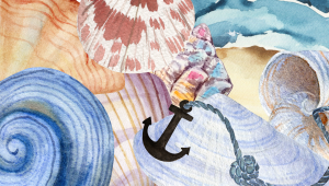 Seashells, an anchor and the beach