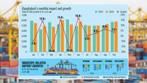 import_of_bangladesh_2024.jpg