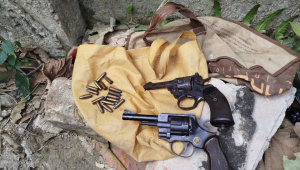 firearms