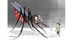 In the mosquitoes’ den