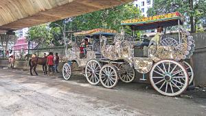 Old Dhaka horse-drawn carriages