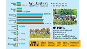 Agri-loan disbursement falls, recovery rises