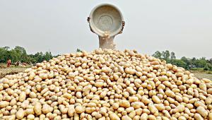 potato.jpg