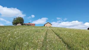 nordic-summer9.jpg