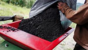 biochar