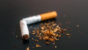 ed_2_cigs_freepik_08102025_ad7b_sif.jpeg