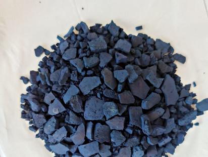 Cultivating indigo in Bangladesh