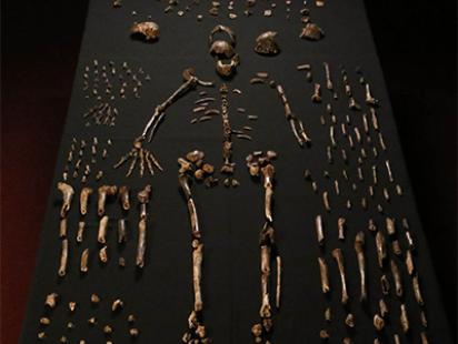 bones2.jpg