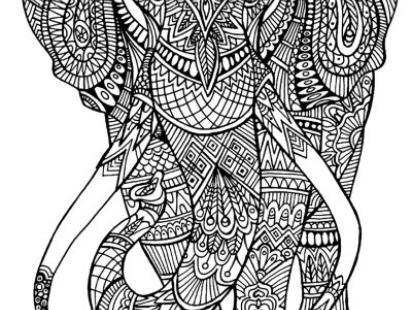 color3.jpg