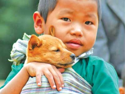 Dog