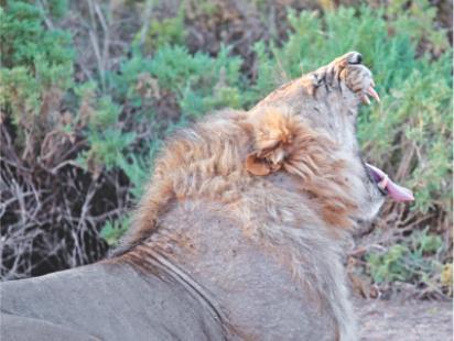 Kenya5.jpg