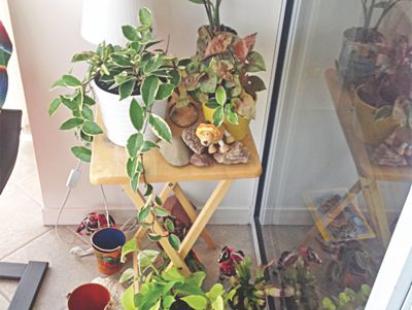 Loving Plants