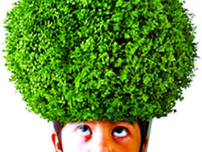 plant4.jpg