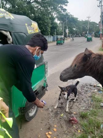 Every life matters at Animal Rescuers Bangladesh