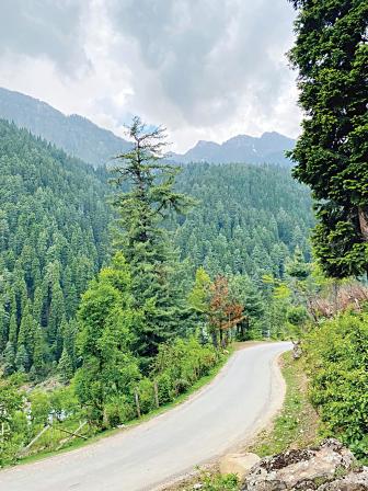 kashmir7.jpg