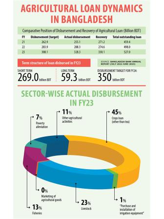 Agricultural loan dynamics in Bangladesh