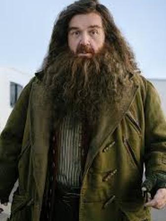Harry Potter Reboot