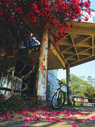 campus3.jpg