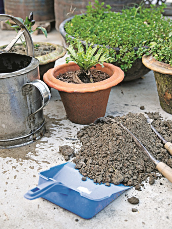gardening3.jpg