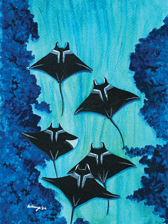 rays-of-bengal4.jpg