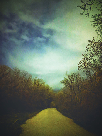 translucent-7.jpg