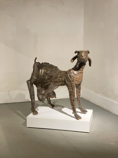 ‘Line-Form-Balance’: Exhibition explores strength and survival through art