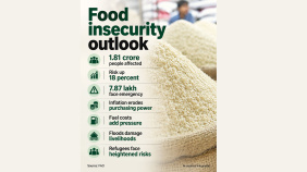 Food-insecurity-infographic.jpg