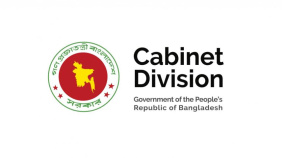 cabinet_division.jpg