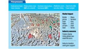 poultry-farmers.jpg