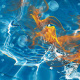 Being-Water.jpg