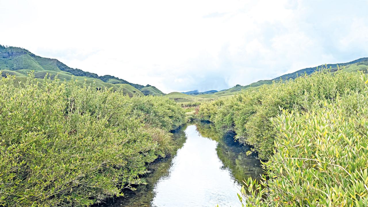 dzokou-vally-2.jpg