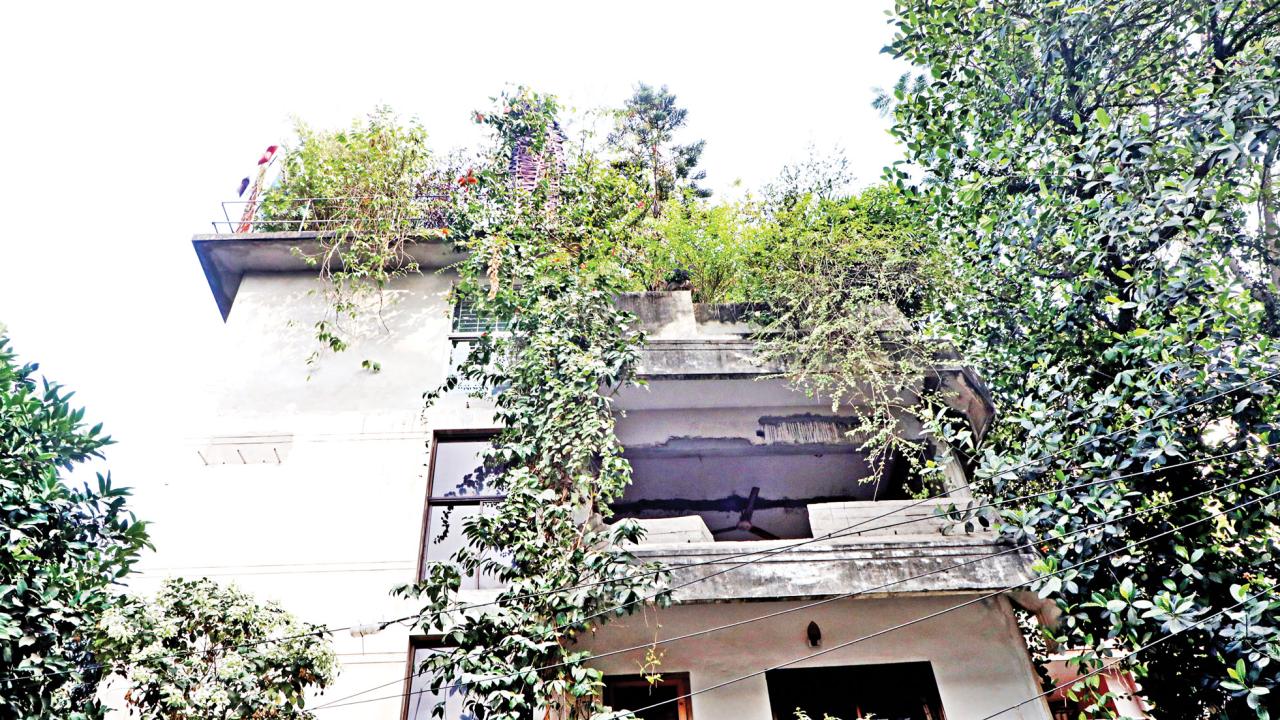 rooftop gardening