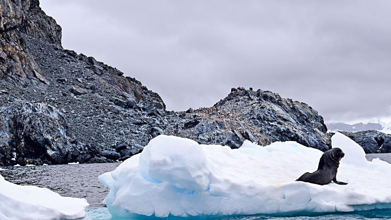 Antarctica travel experience