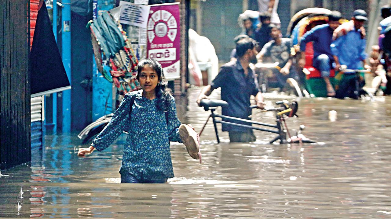 waterlogging5.jpg